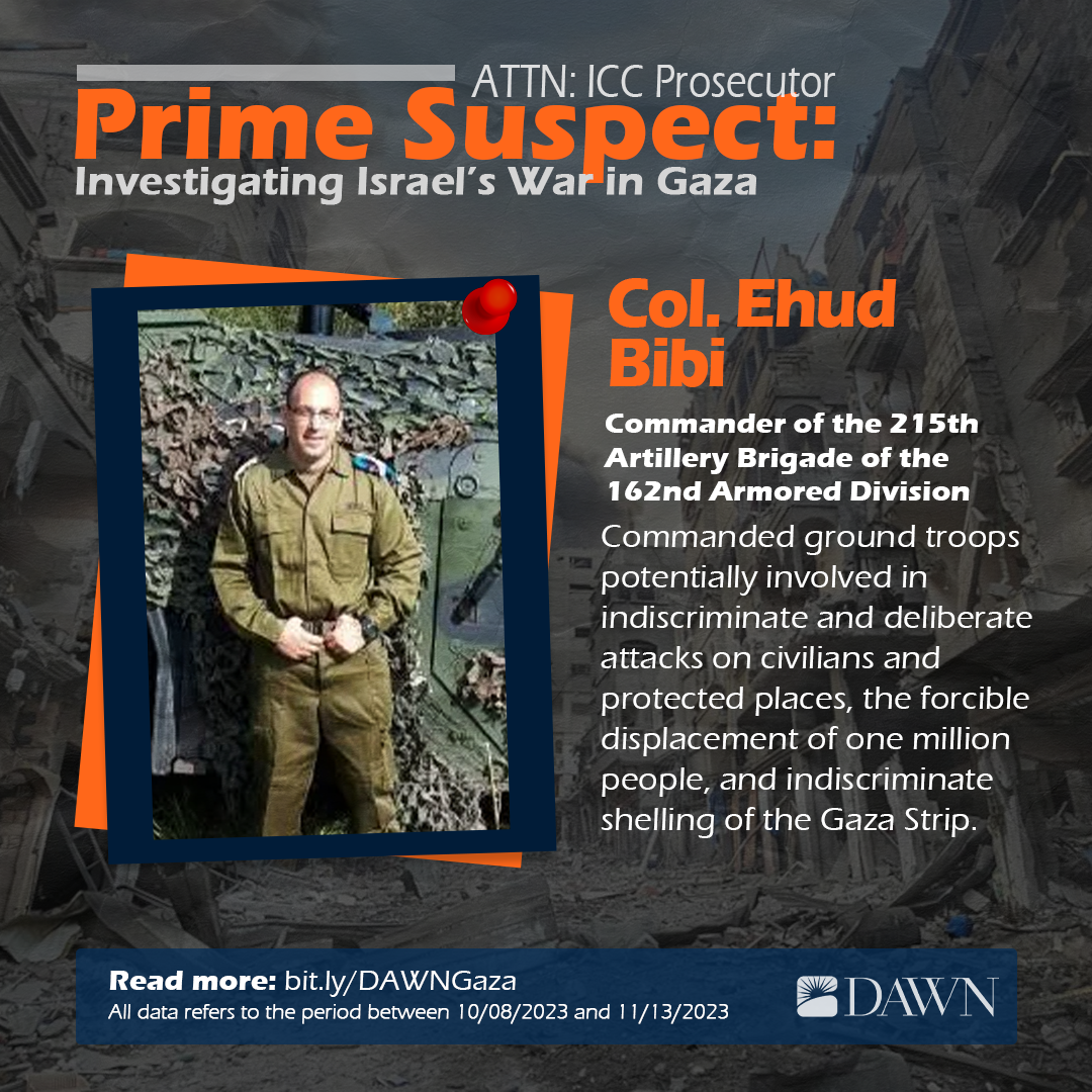 Ehud Bibi (1)