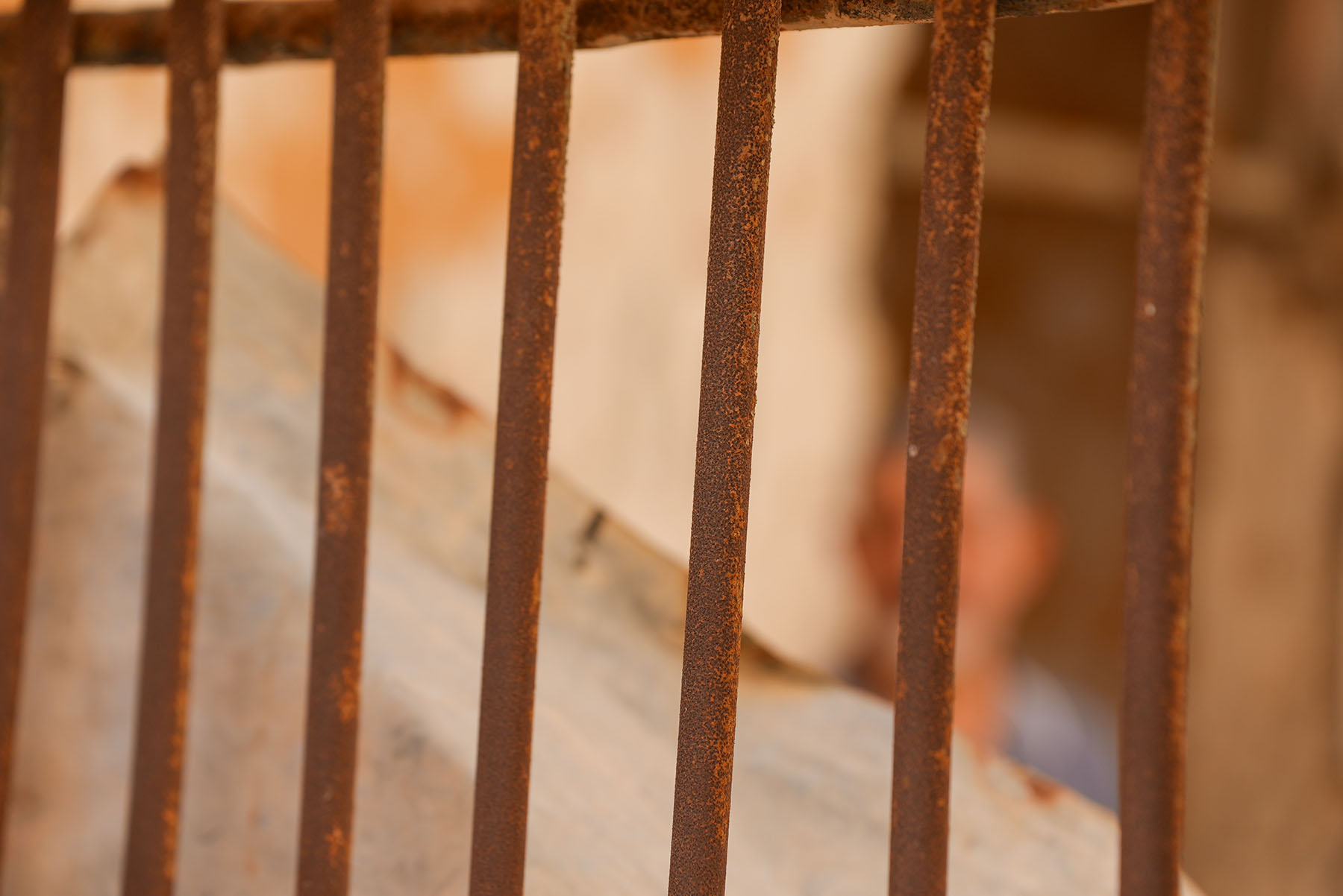 Foreign Combatants and Transitional Justice: The Expanding Case of Polisario Fighters Detained in Post-Assad Syria