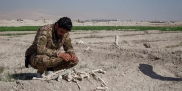 A Syrian soldier contemplates a pile of bones at a mass grave near Adra. Oct. 21, 2025. Photo: courtesy of Alex Martin Astley