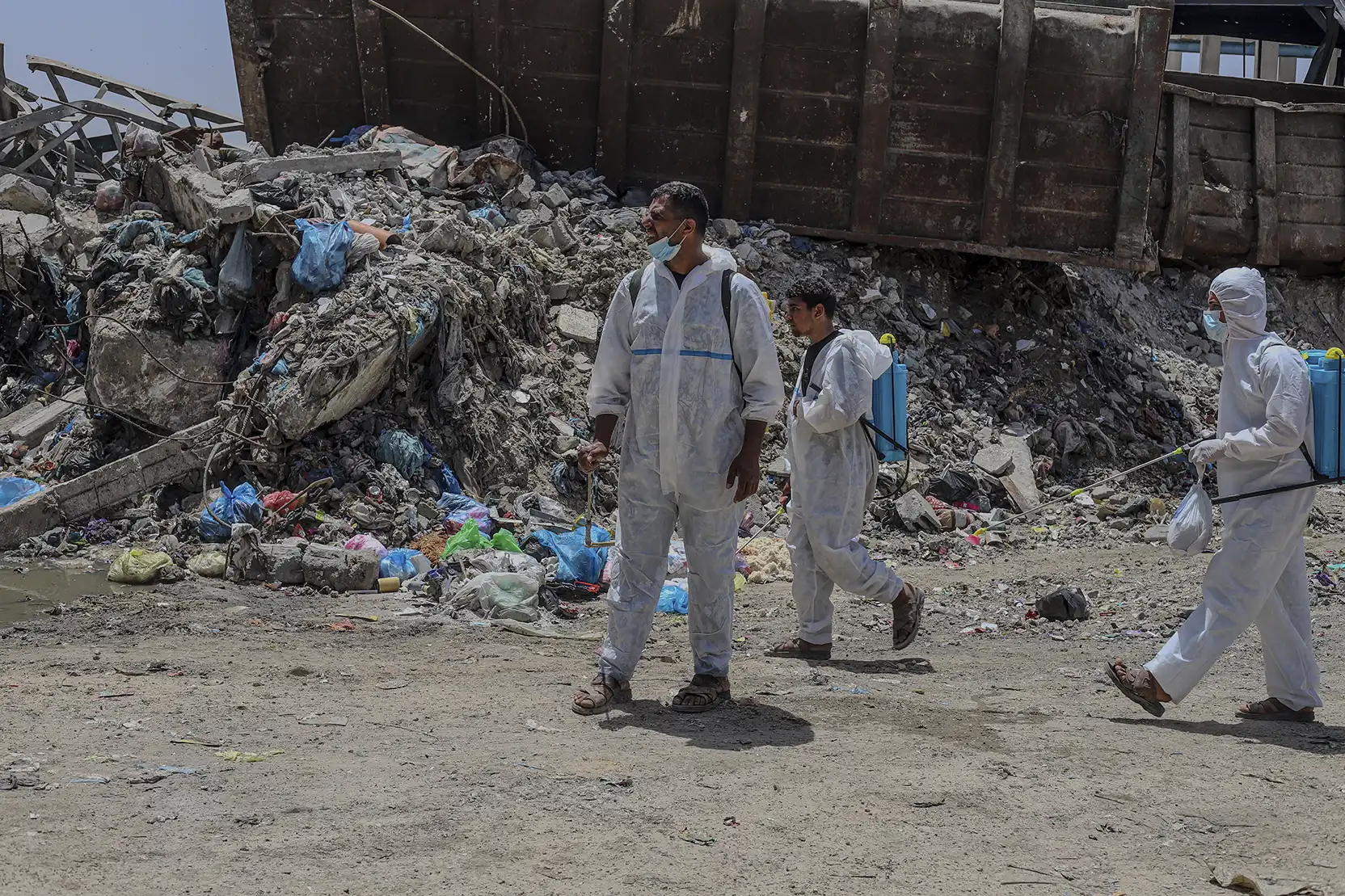Rats and insects plague Gaza's displacement camps amid sanitation crisis